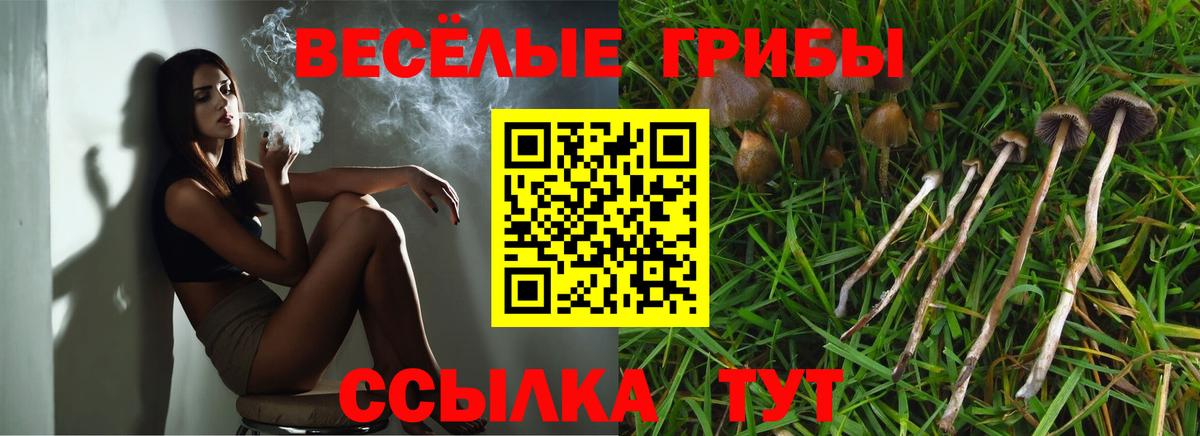 Псилоцибиновые грибы мицелий Дубна