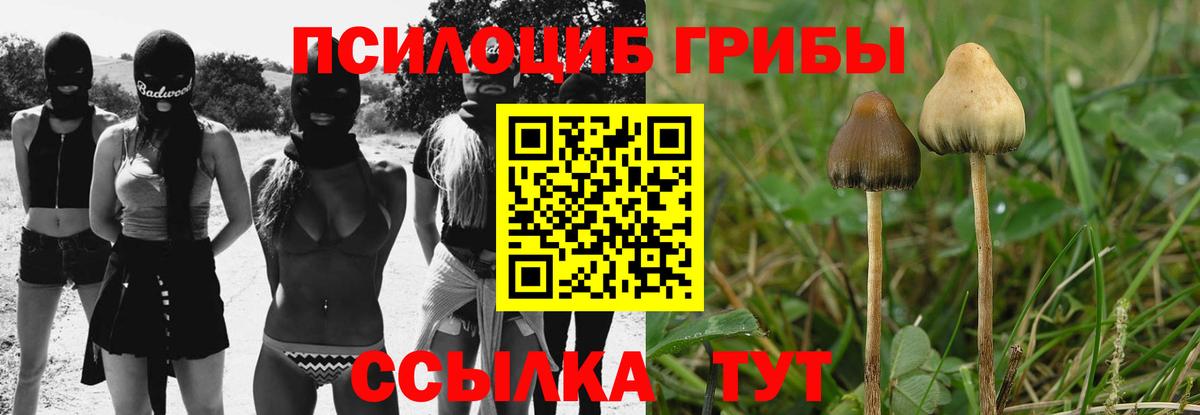 Галлюциногенные грибы GOLDEN TEACHER  Вход с VPN  Дубна 